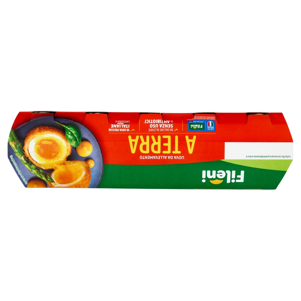 Fileni 10 Uova Fresche da allevamento a Terra 530 g